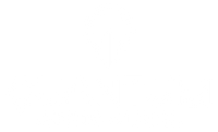 Quantum Audio Visual